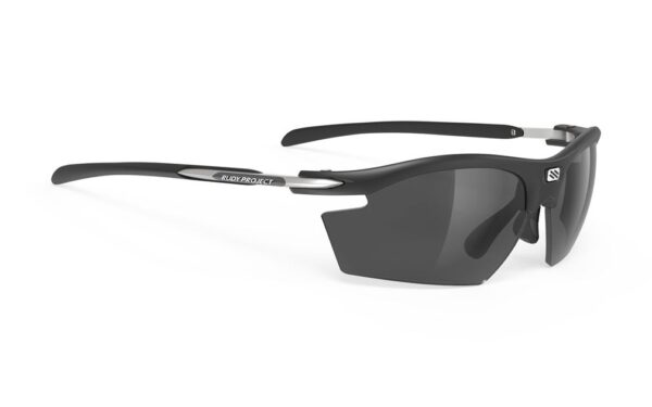 Rudy sales project polarized